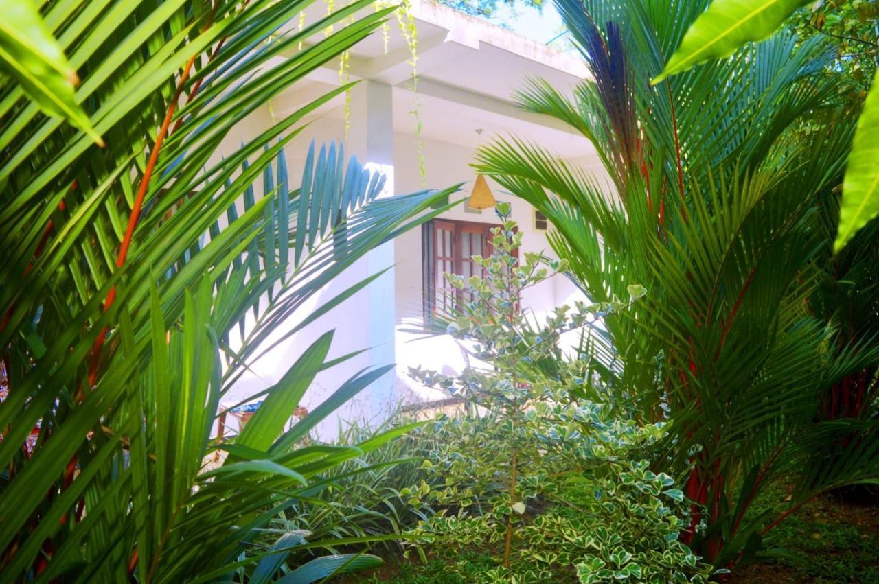 South Heaven Villa هيكادوفا المظهر الخارجي الصورة