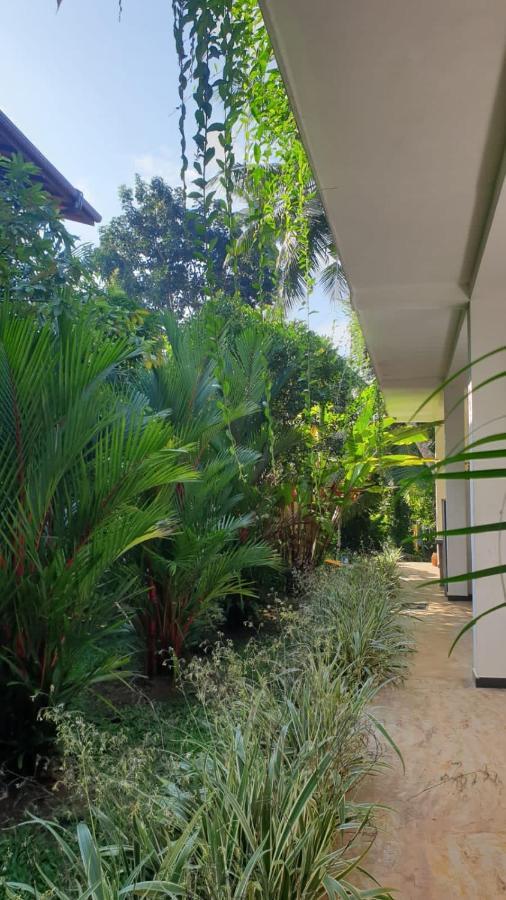 South Heaven Villa هيكادوفا المظهر الخارجي الصورة