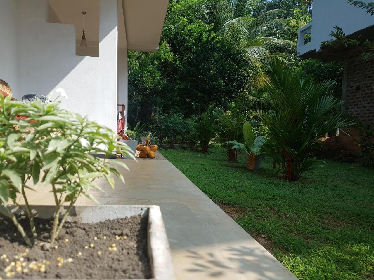 South Heaven Villa هيكادوفا المظهر الخارجي الصورة